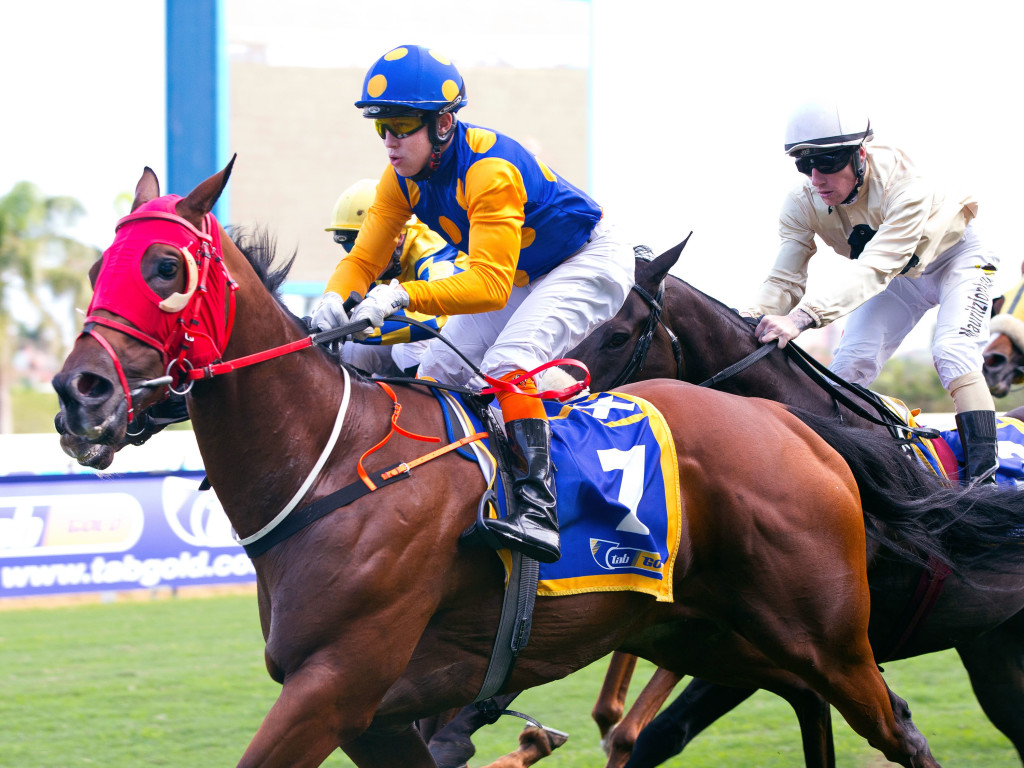 Fives Wild wins at Greyville on Sunday. Image: Anneke Kitching 