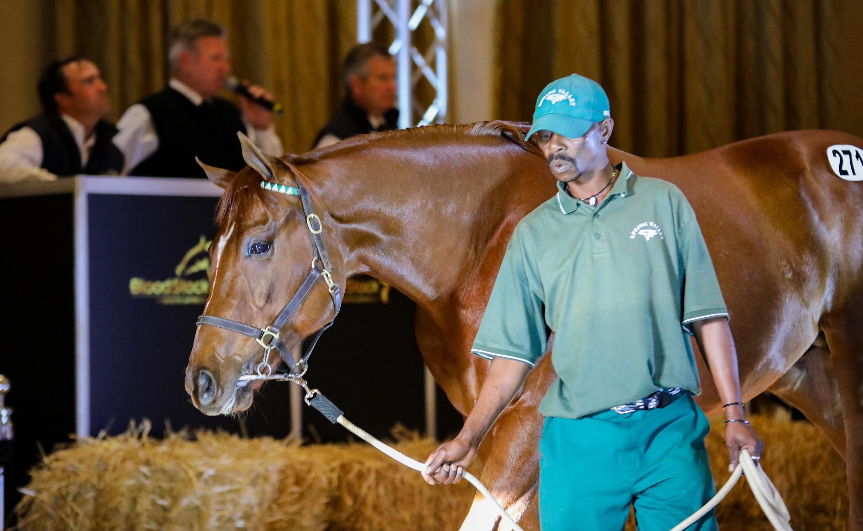 Futura Colt Tops #kznbreds At Day 2 Of KZN Yearling Sale