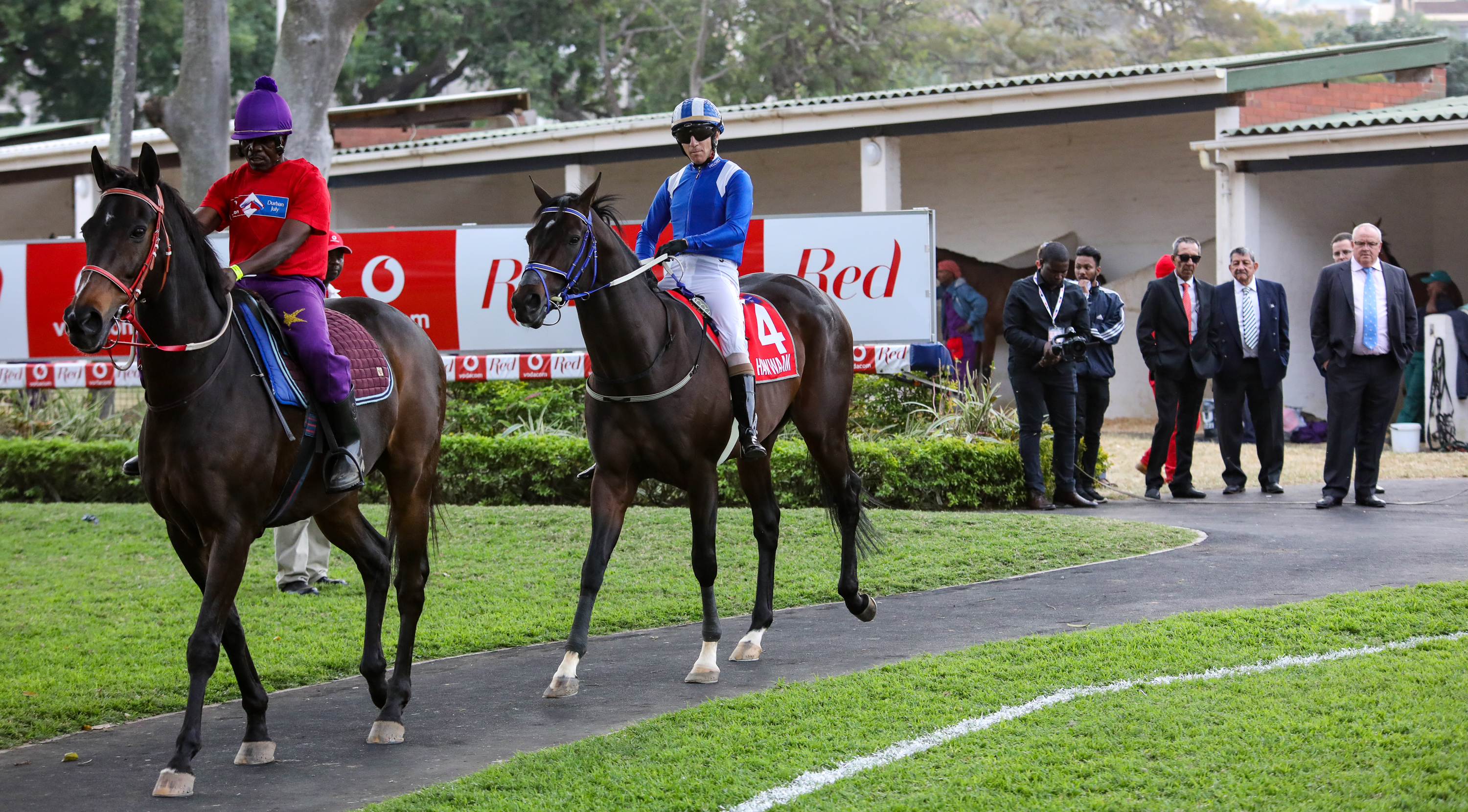 Hawwaam in the #VDJ2019 Parade ring. Whilst he never made the race, he is a three time Gr1 winner. Image: Candiese Marnewick