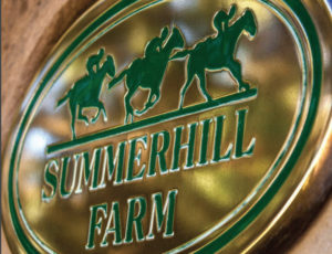 Summerhill Announce Farm Sale