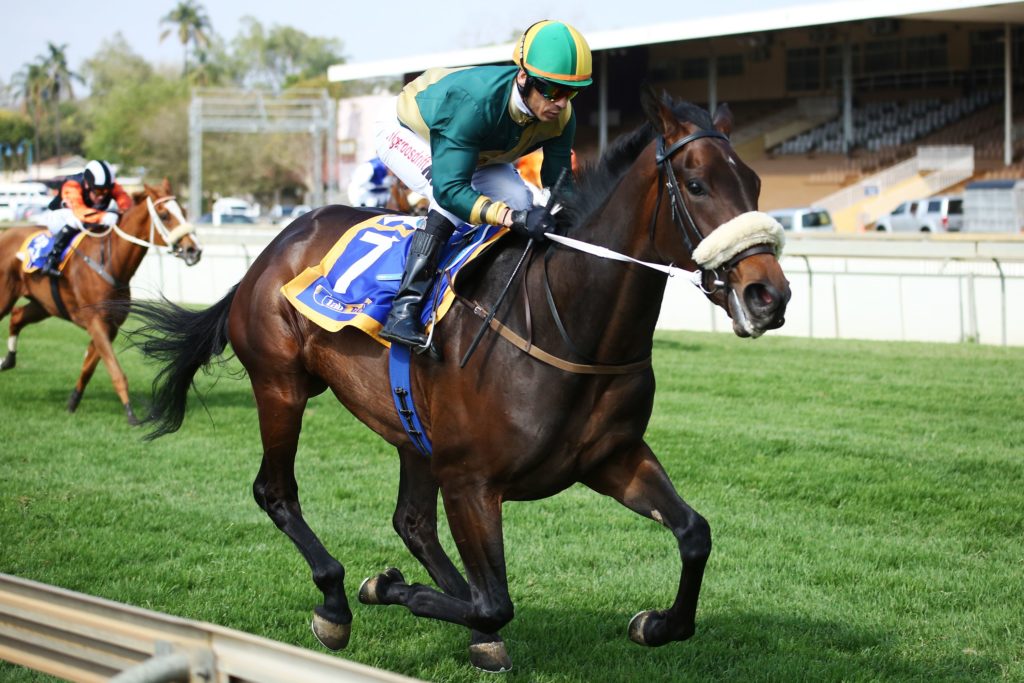 Hashtagyolo winning on race debut over 1750m with Anthony Delpech in the irons. Image: Candiese Lenferna