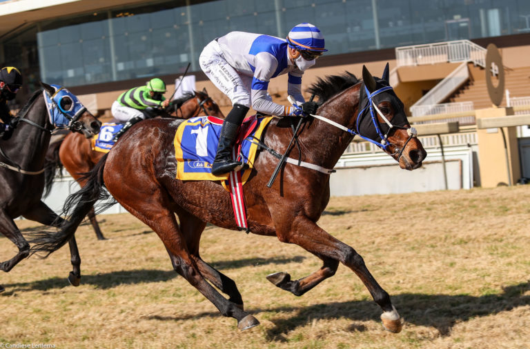 #kznbreds In WSB Gold Cup