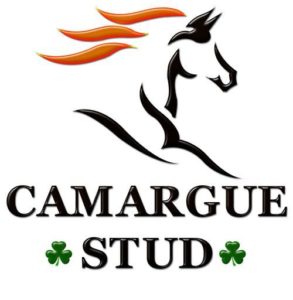 The Return Of Camargue Stud