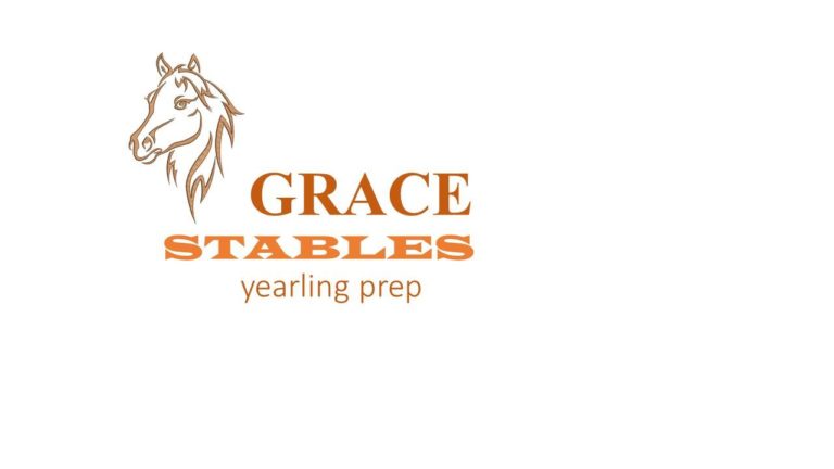 GRACE STABLES OFFER THREE AT TWO YEAR OLD SALE