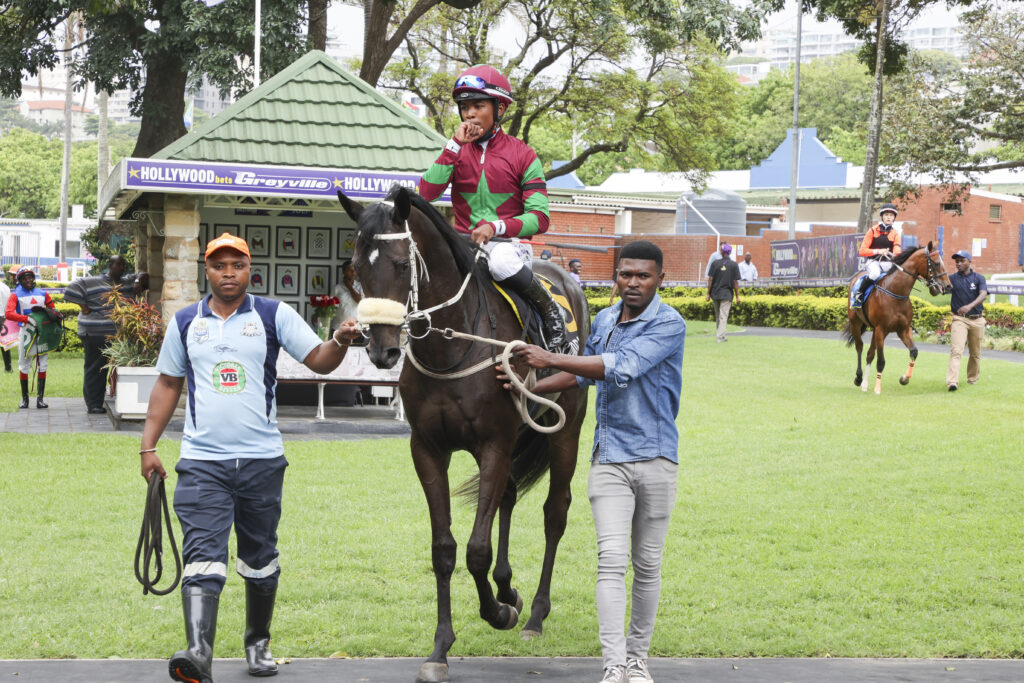 Givers Grace Gives Hat Puntano A Start