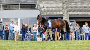 Rabada On Show, Breeder and Racing Incentive Announced