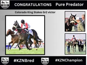 Congratulations pure predator: GRADE 2 COLORADO KING STAKES VICTOR