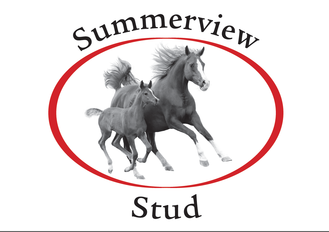 SUMMERVIEW STUD AT THE NATIONAL YEARLING SALES