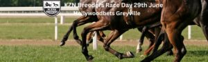 kzn breeders race day – june 29th, hollywoodbets greyville