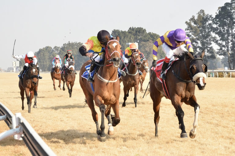 ANOTHER KZN BRED WINNER – BUSH HILL DOUBLE: PARTY PUNCH