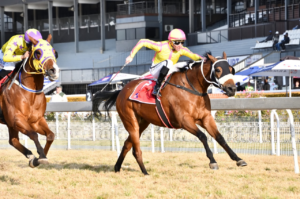 ANOTHER KZN BRED WINNER: PENDRAGON