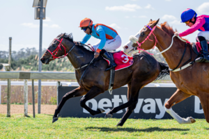 FIRST KZN BRED WINNER OF THE DAY – POMO’S BIG SPENDER: FAIRVIEW