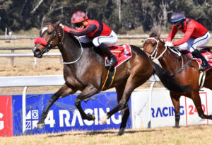 KZN BRED WINNER: GIMME A SHOT: VAAL RACE 4