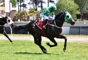 FIRST KZN BRED WINNER OF THE DAY: PACIFIC – RACE 2 VAAL