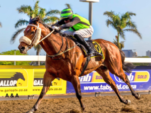 ANOTHER KZN WINNER FOR BRUCE -MR HENLEY