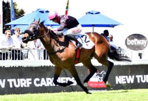 FIRST KZN BRED WINNER – MOUNT PILATUS