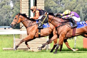 ITS A KZN BRED WINNER – ROLLWITHTHEPUNCHES