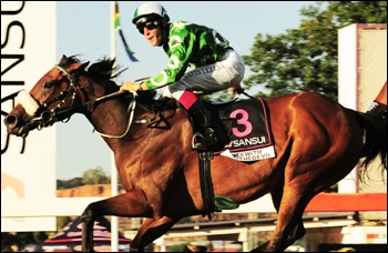 Dancewiththedevil, bred, owned and trained by St John Gray. Image: sportingpost.co.za