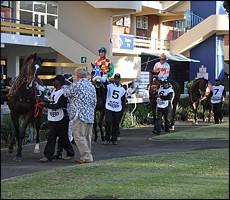 Parade ring, prior to the running of the Million Mile. Image: Candiese Marnewick