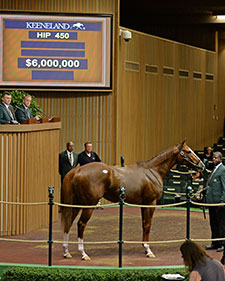Giant’s Causeway Filly Tops Keeneland Sale At $6 Million