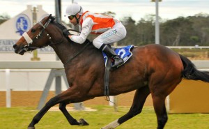 KZN-Breds Feature In Eastern Cape Racing Awards