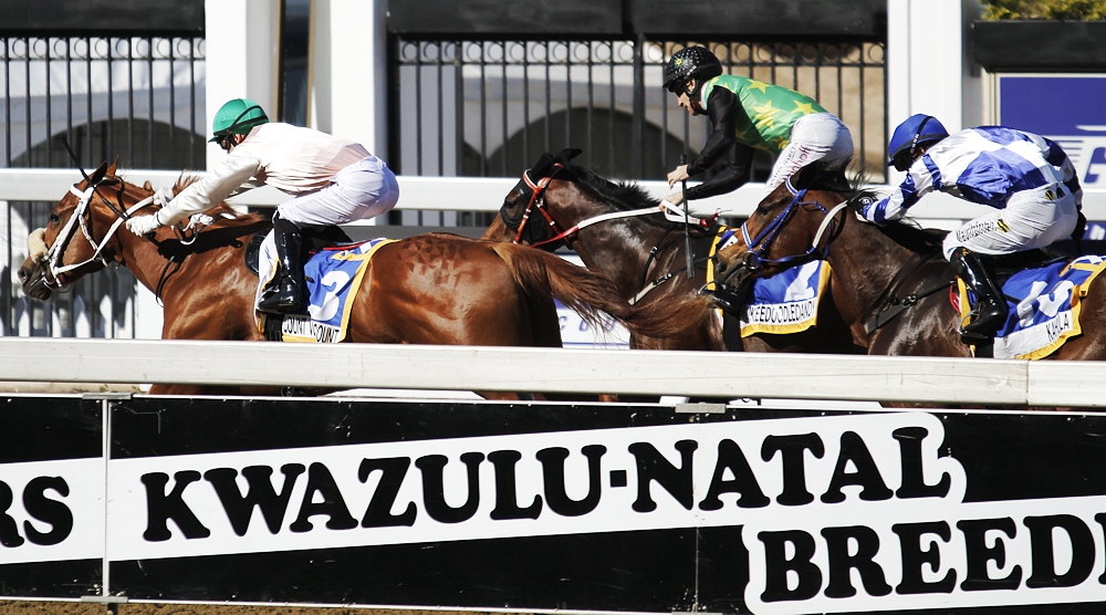 Entries Open For KZN Breeders Series Taking Place June 2017