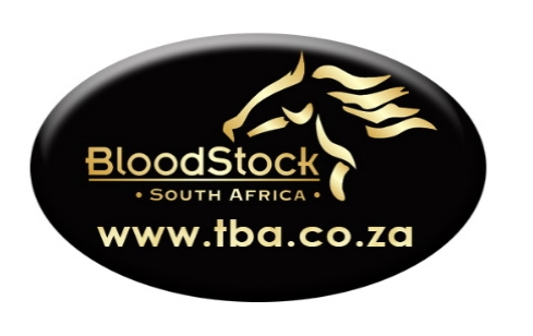 Bloodstock South Africa Announce Maiden Winner Incentive