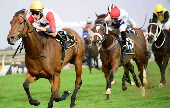 KZN Horses Take Home Three Stakes Wins At Turffontein