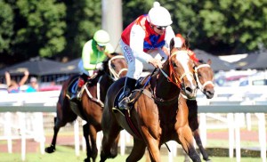 Feature Success For KZN On Weekend At Turffontein