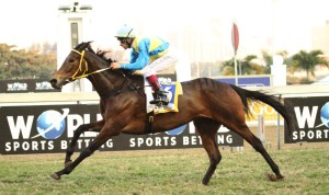 Gr2 Winner For Broodmare Sire Kahal; Matador Man 3rd In Champions Cup