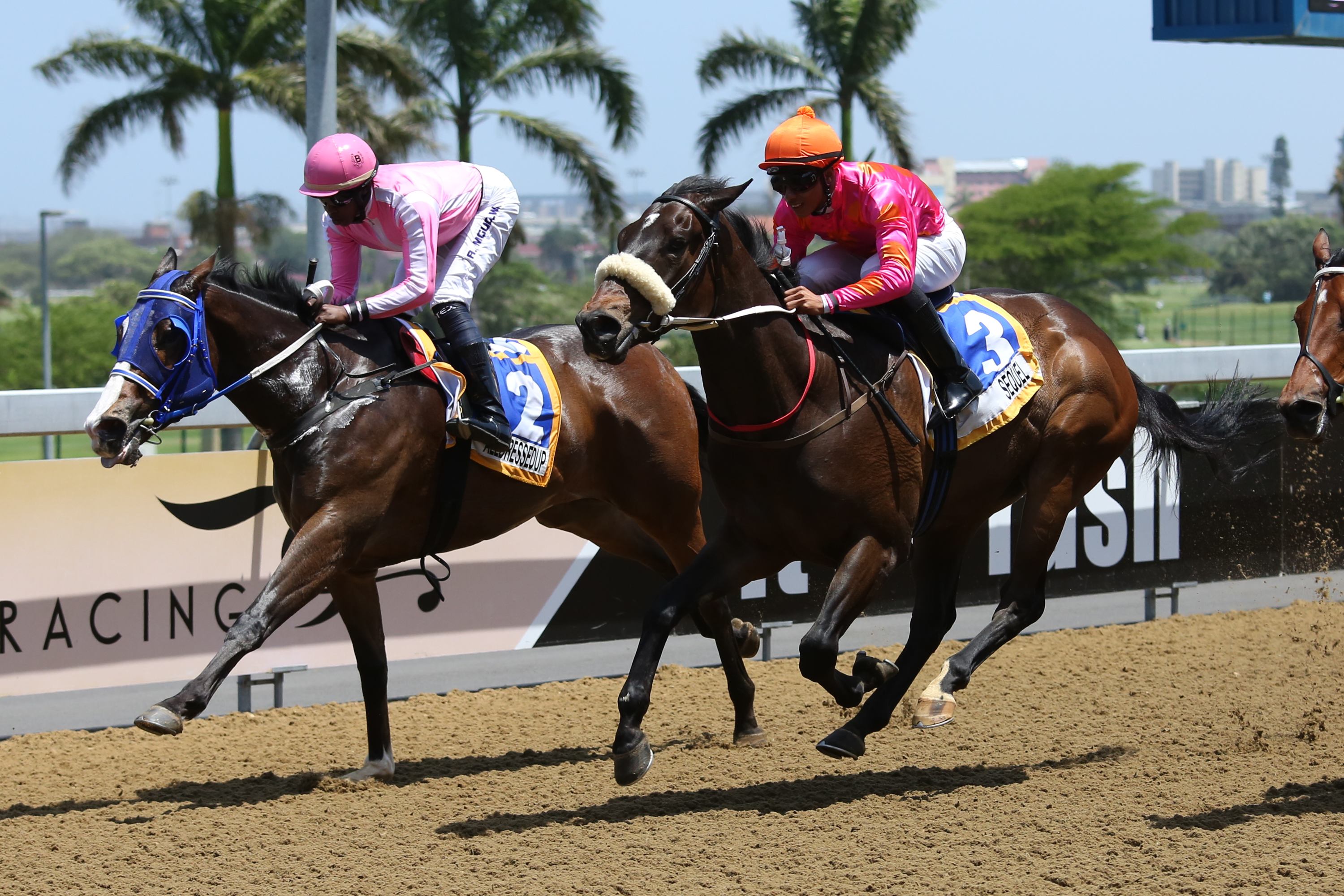 KZN Barrier Trial History Made – Won By KZN-bred
