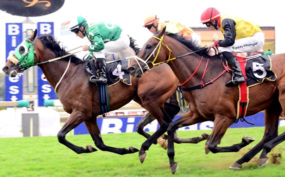 Dawn Assault Heads Up 2nd KZN Breeders Series Log – 3YO’s And Up
