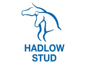 Hadlow Stud At National 2YO Sale