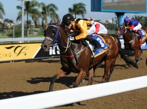 Updated Points: KZN Jockey And Trainers Challenge 2 June