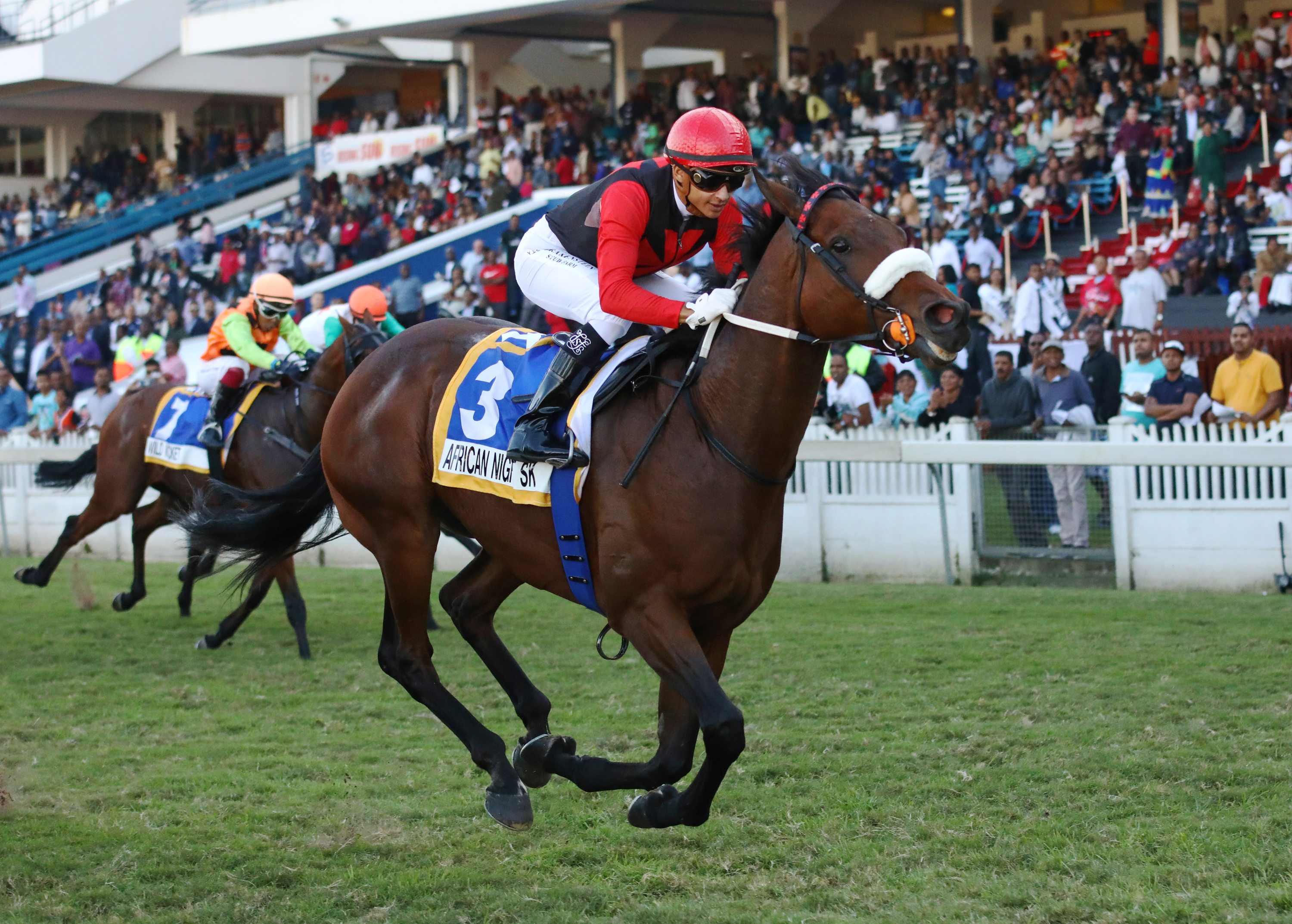 KZN Welcome New Mares To Stud