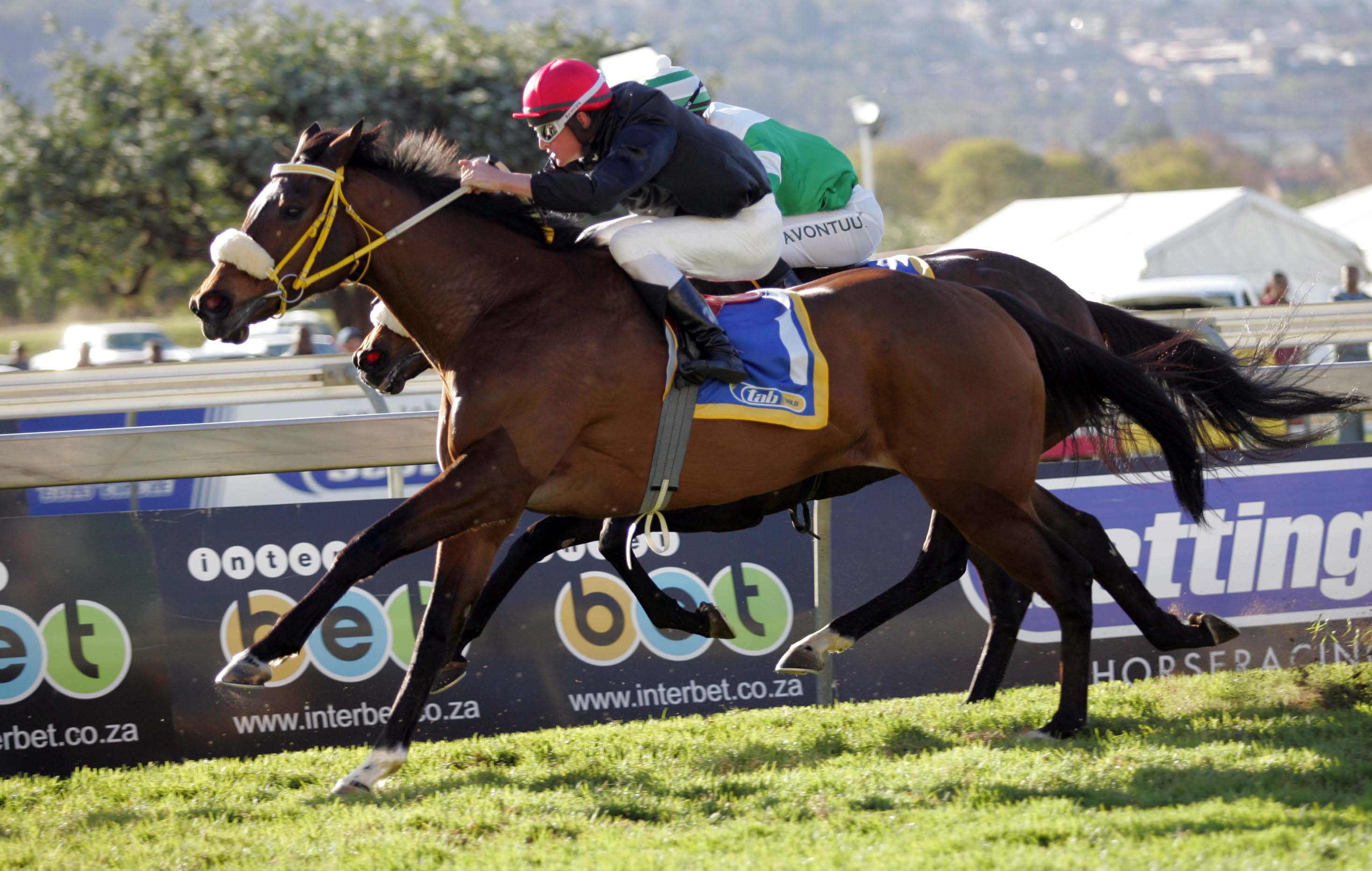 KZN Roots: Halfway To Heaven Broodmare Of The Year?
