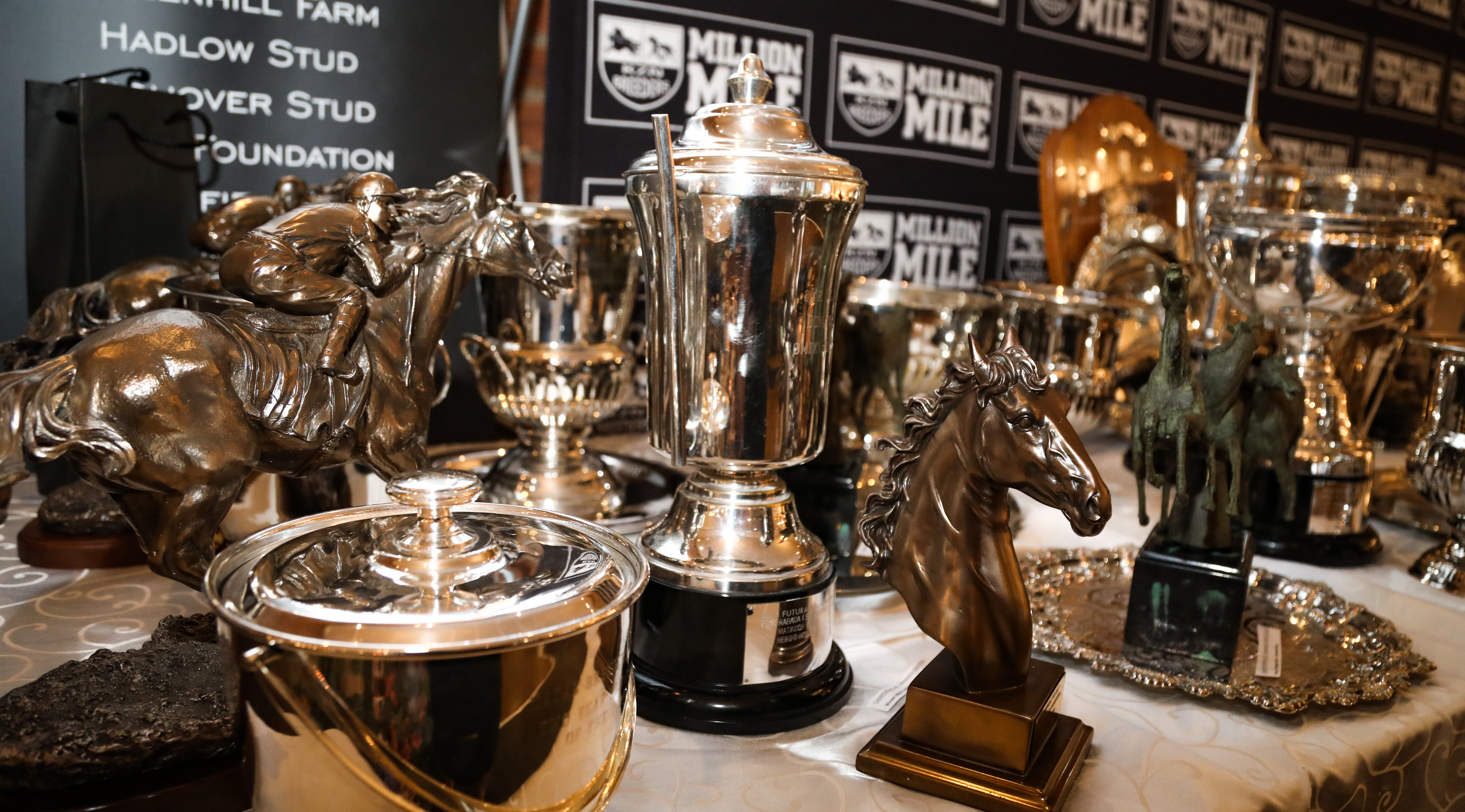 KZN Breeders Awards Nominees 2022