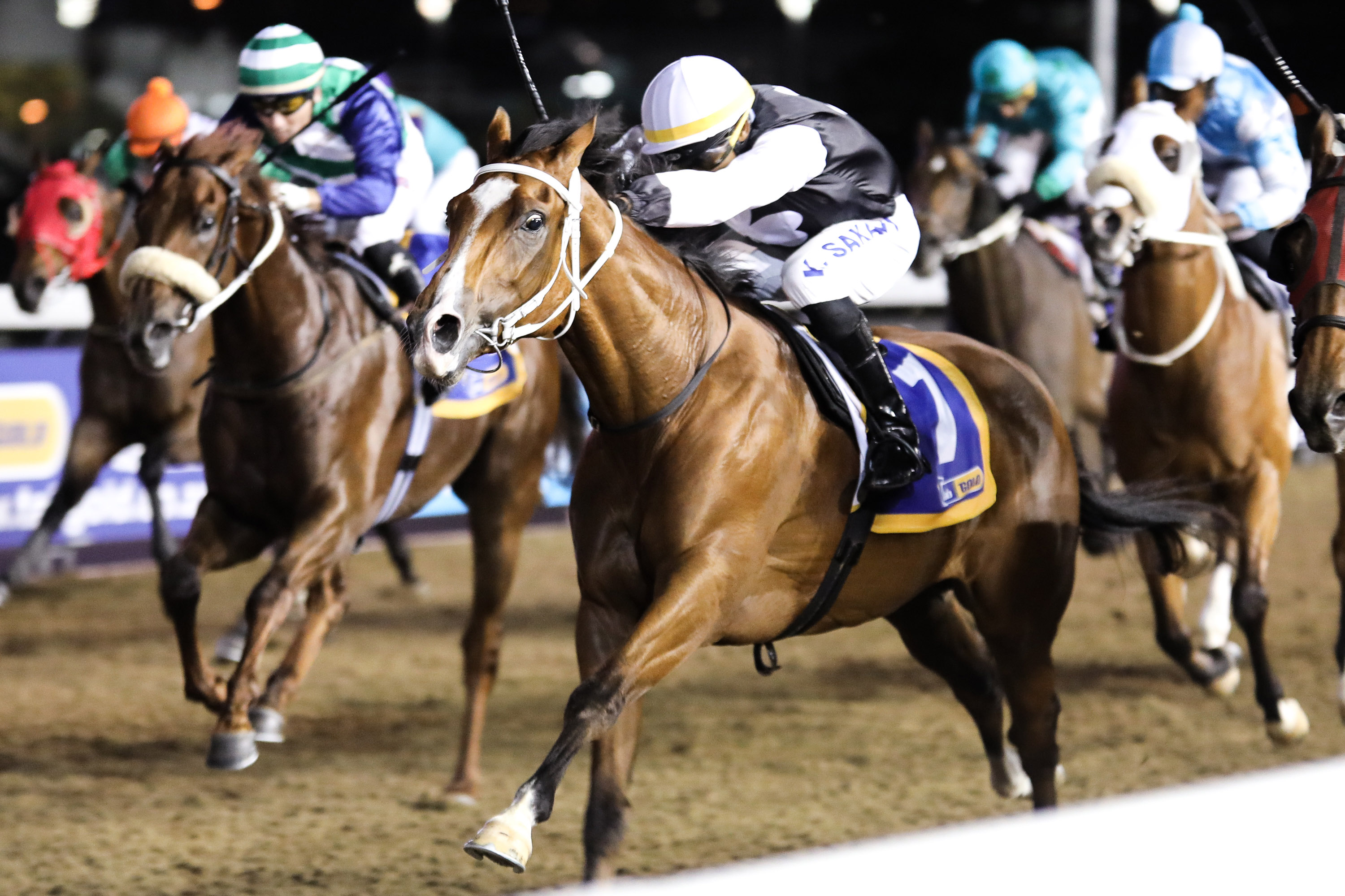 #kznbred Double At Greyville For Oratorio