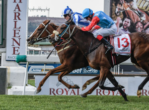 VDJ2019: First Declarations For Vodacom Durban July