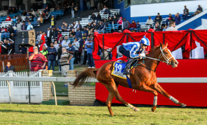 Camphoratus Given Green Light Into Vodacom Durban July After Scratching