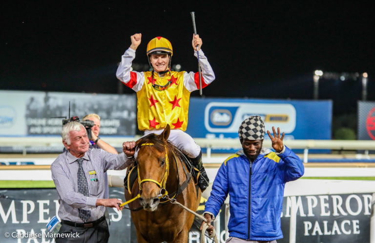 Prince Of Kahal Does It Again For Clifton Stud!