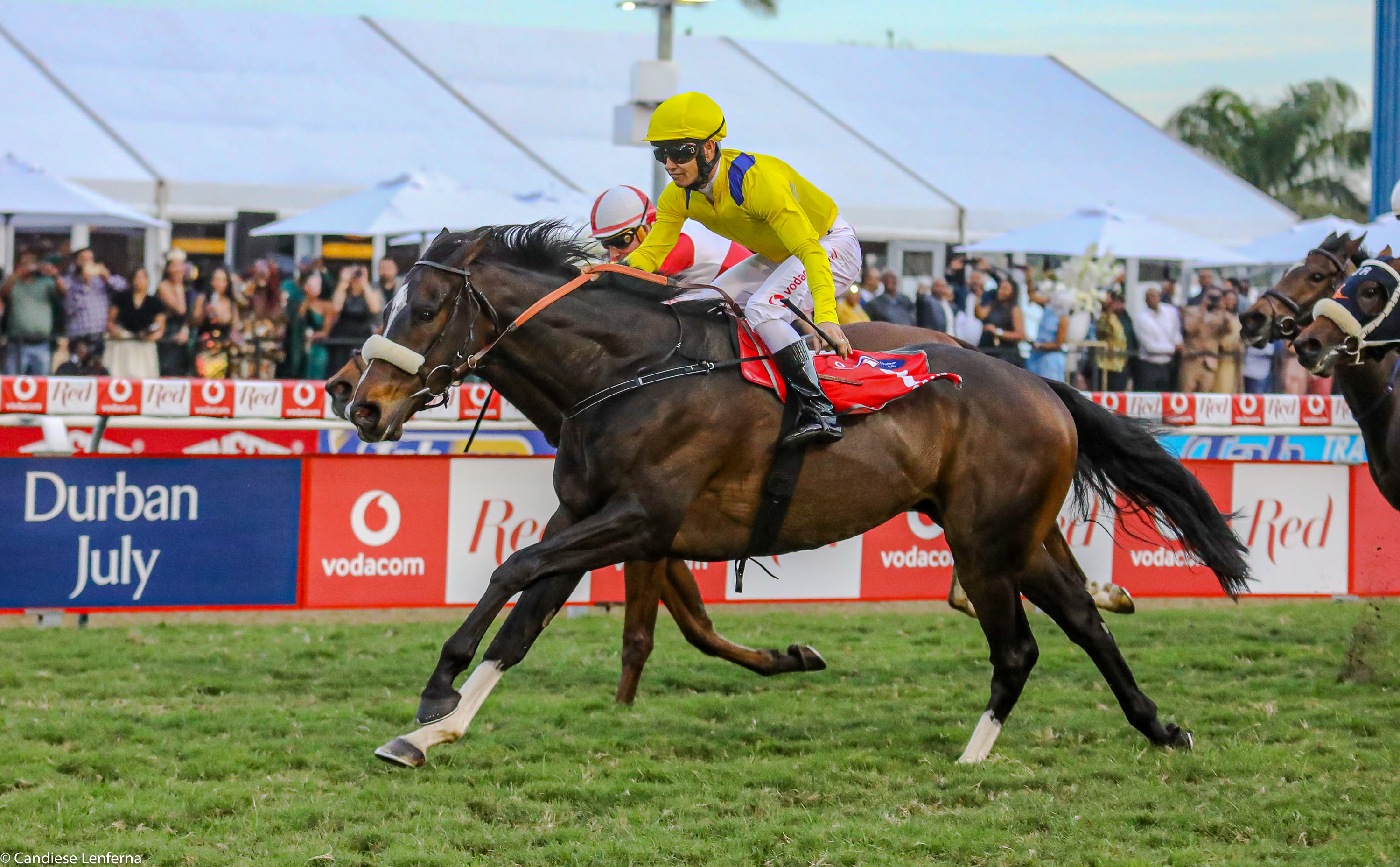 Durban July Winners KZNBreeders