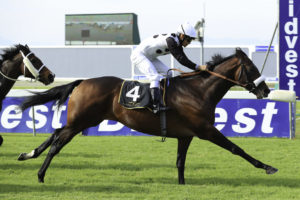 First Vodacom Durban July Entries In