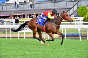 Willow Magic Gelding Gets 8th Win