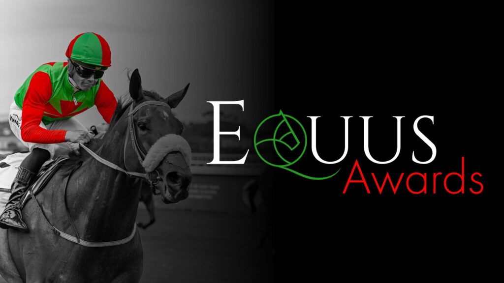 Picture courtesy Cape Racing Sales website - https://caperacing.co.za/2024-equus-awards-date-announced/