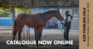kzn yearling sale online catalogue now available