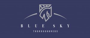 blue sky thoroughbreds kzn yearling sale 2024