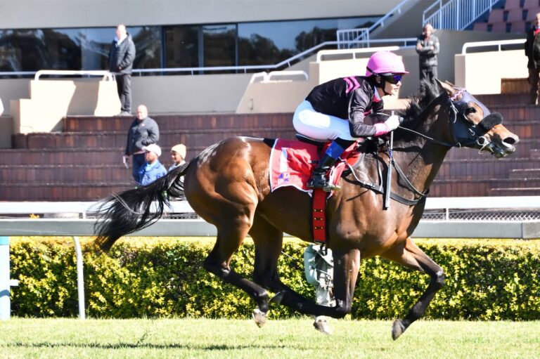 FIRST #KZNBRED WINNER OF THE DAY: Gold Agent – Bloomhill Stud