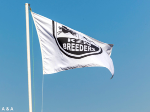THE BEST OF KZN BREEDING AND RACING – KZN BREEDERS RACE DAY