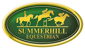summerhill equestrian yearling lots – bsa kzn yearling sale 2024